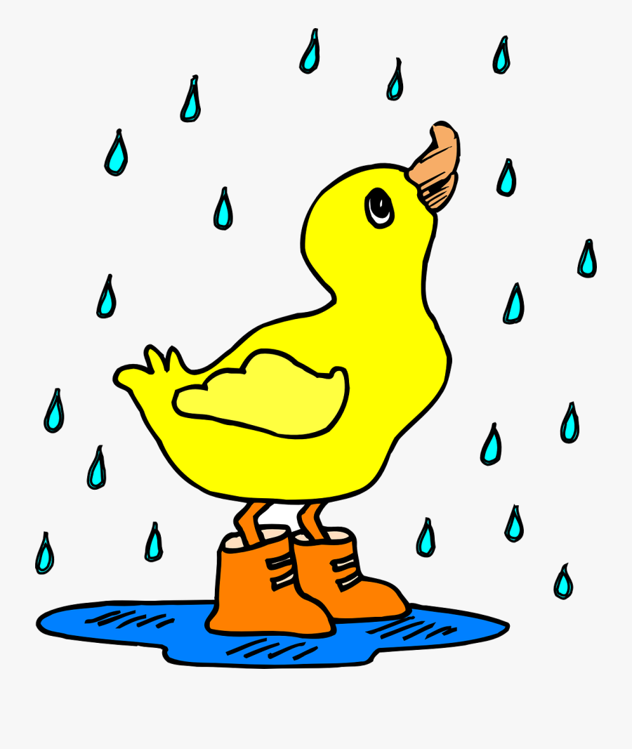 Rain, Duck, Puddle, Boots, Water, Bird, Cute, Animal - Duck In The Rain Cartoon, Transparent Clipart