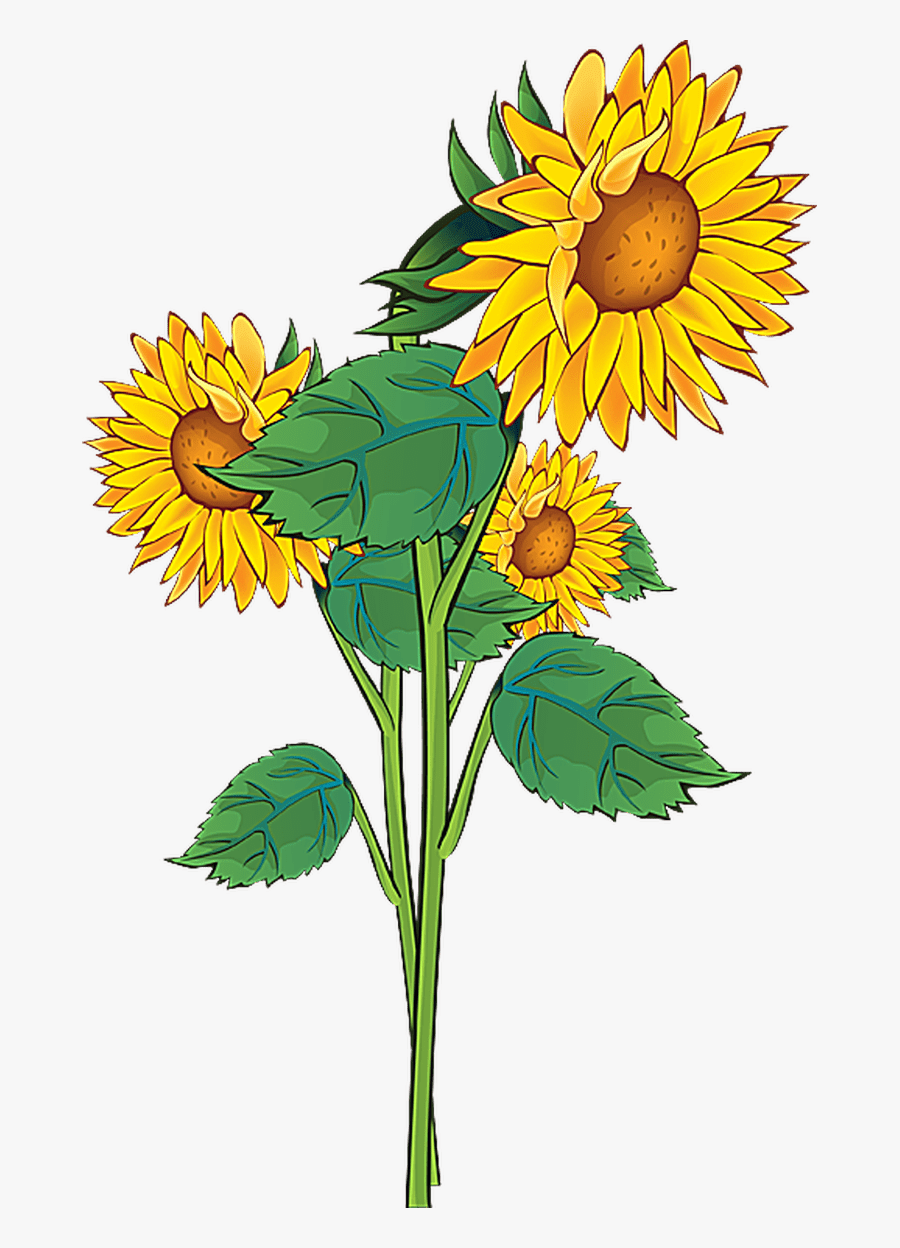 Sunflower Clipart, Transparent Clipart