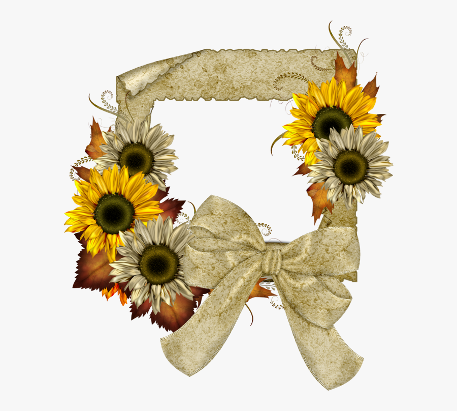 Kindergarten Clipart Sunflower - Transparent Sunflower Frame Png, Transparent Clipart