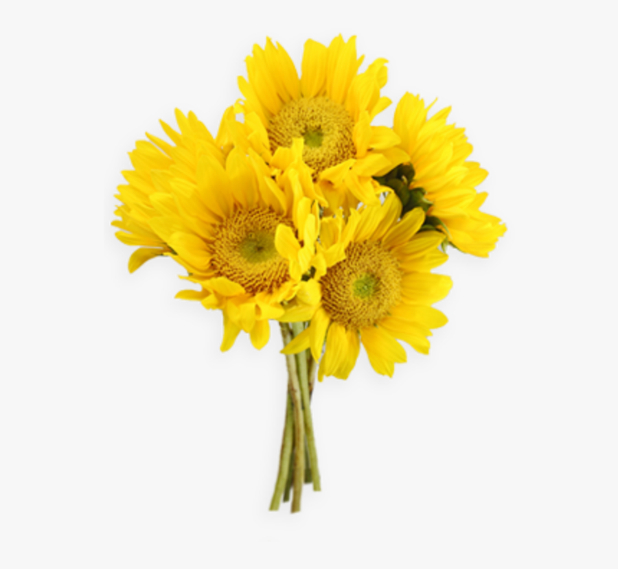 Transparent Sunflowers Png - Yellow Flowers Bouquet Png, Transparent Clipart