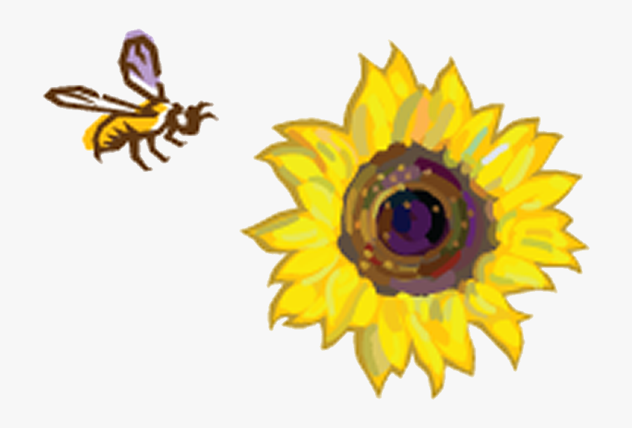 Sunflowers Clipart Bee - Sunflowers And A Bee, Transparent Clipart