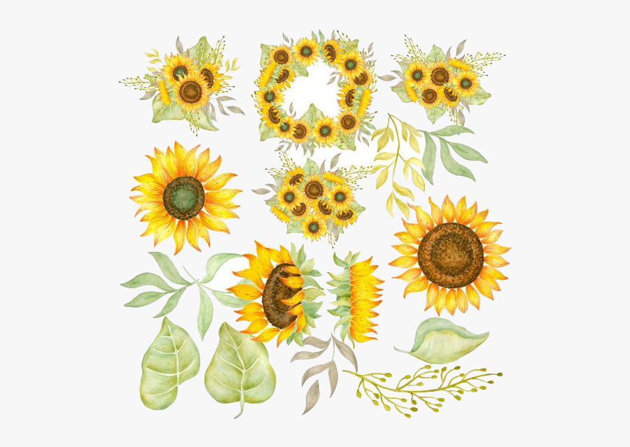 Sunflower Free Clipart Ideas On Images Transparent - Vintage Sunflower Clipart, Transparent Clipart