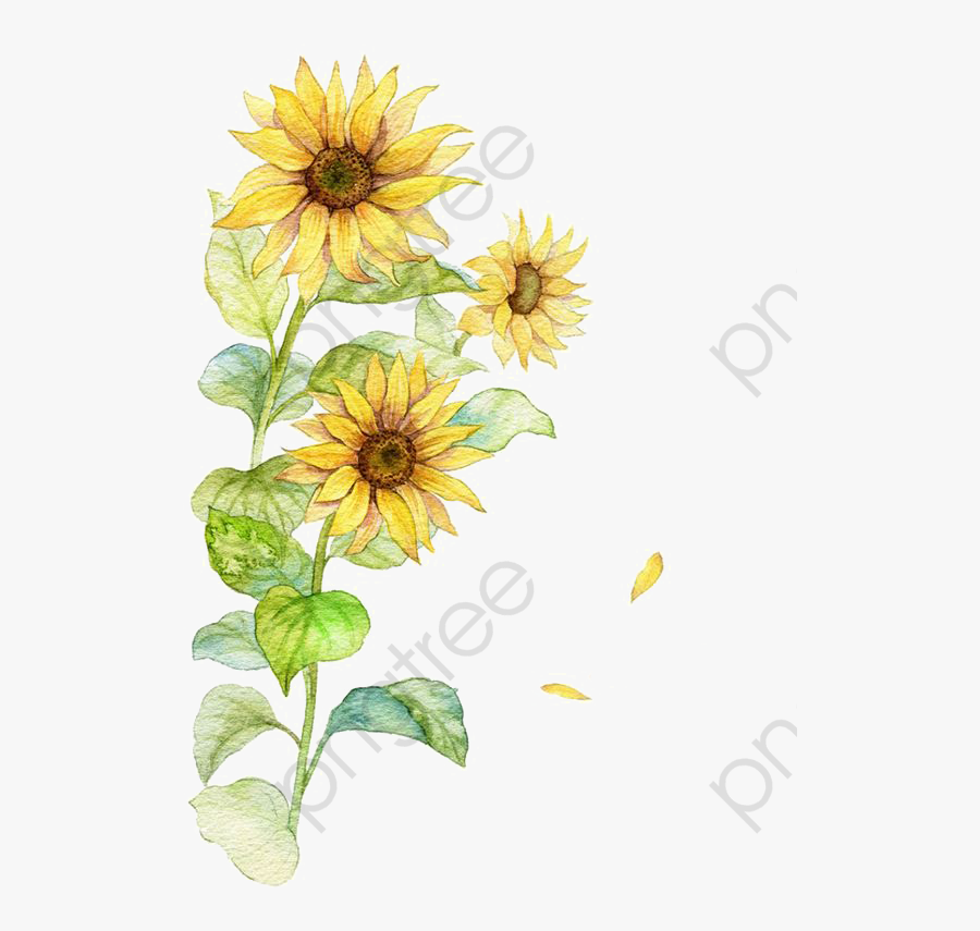 Clipart Category - Watercolor Yellow Flower Png, Transparent Clipart