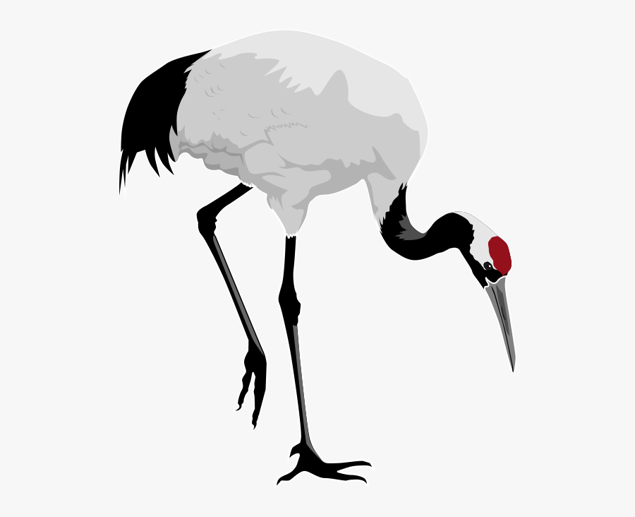 Red Crane Clipart - Red Crowned Crane Transparent, Transparent Clipart