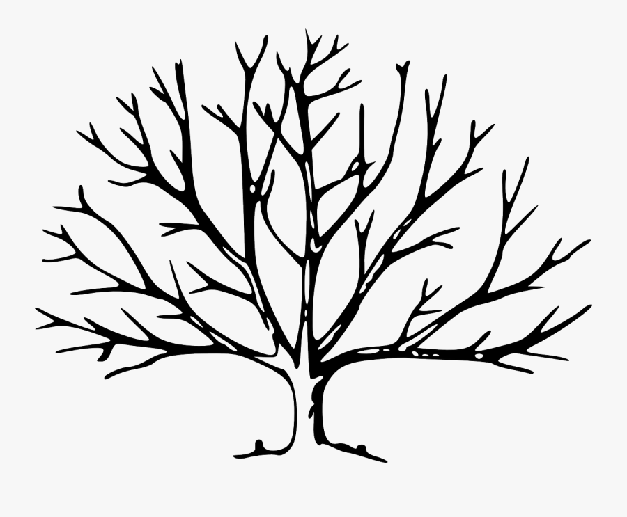 Hope Tree Cliparts - Tree With No Leaves, Transparent Clipart