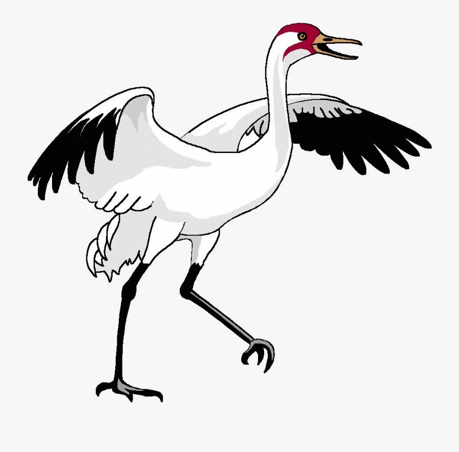 Bird Crane Clipart Transparent Png - Waterfowl, Transparent Clipart