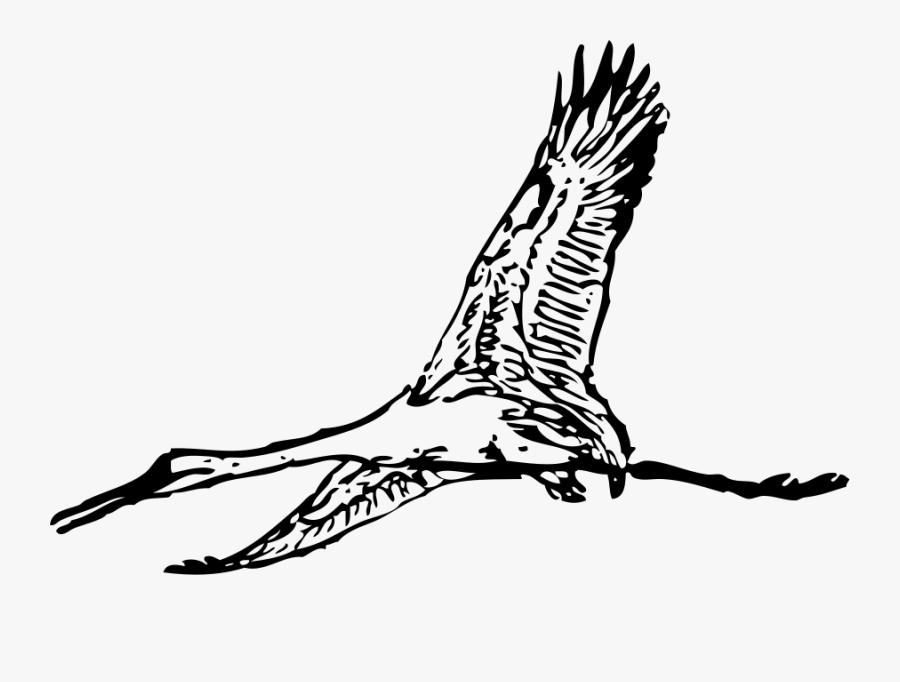 Free Giant Crane - Giant Bird Clip Art, Transparent Clipart