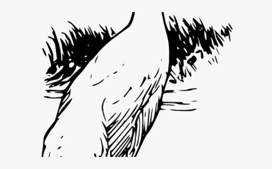 Outline Of Black Necked Crane, Transparent Clipart