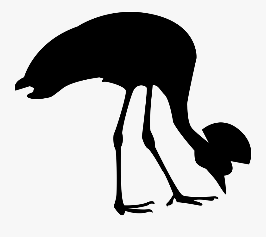 Grey Crowned Crane Silhouette, Transparent Clipart