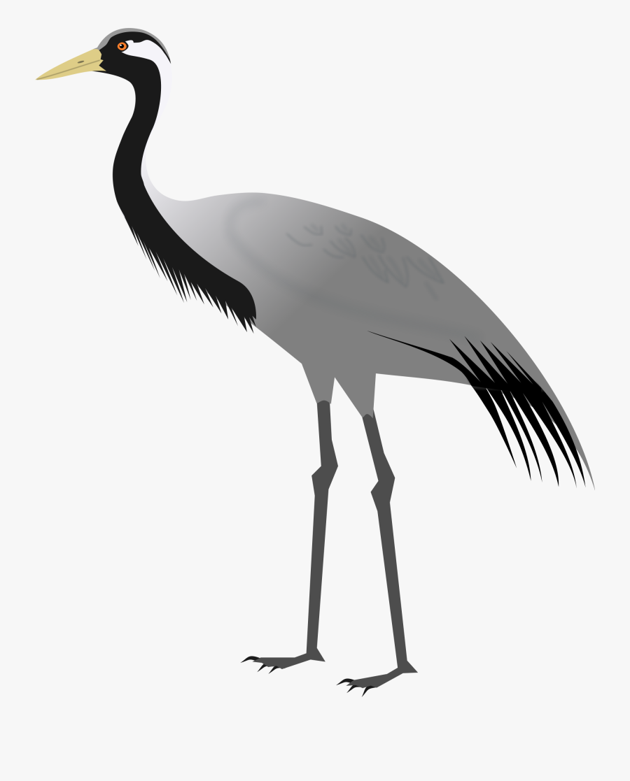 Download Vector Black And White Library Christian Church - Demoiselle Crane, Transparent Clipart