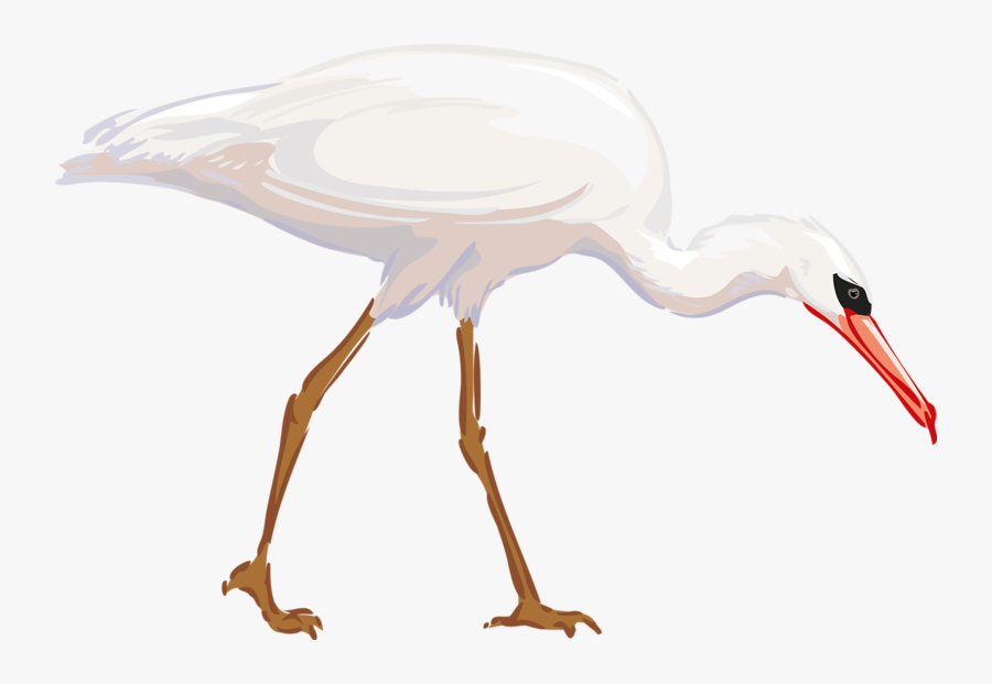 Crane Clipart Heron - Great Egret, Transparent Clipart