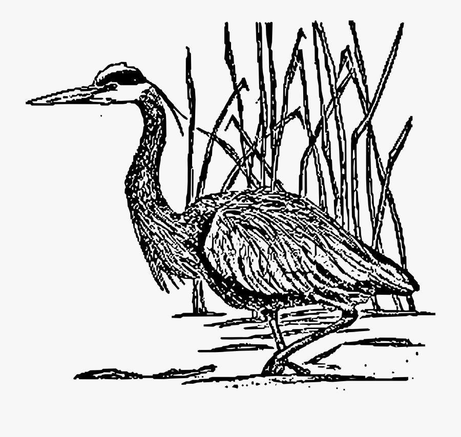 Crane Great Blue Heron Bird Clip Art - Clipart Blue Heron Png, Transparent Clipart