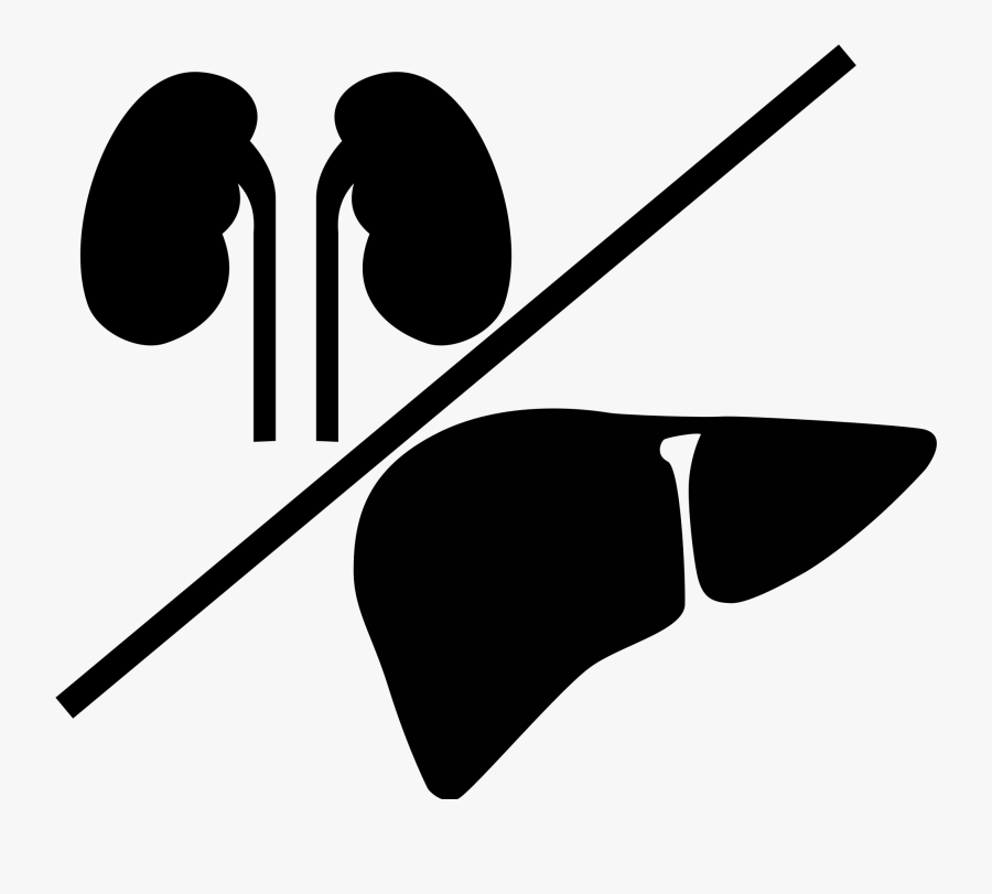 Liver Clipart Svg - Liver And Kidney Icon, Transparent Clipart