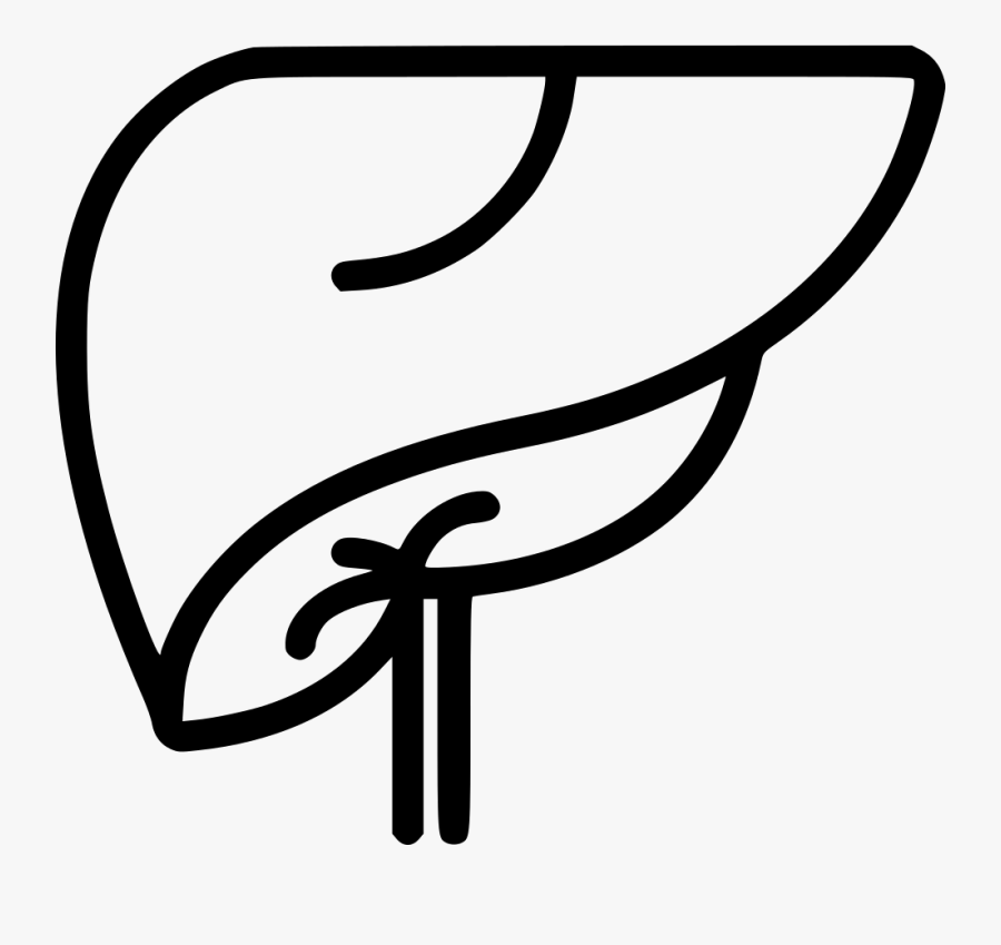 Liver Drawing Transparent For Free Download - Liver Clipart Black And White, Transparent Clipart