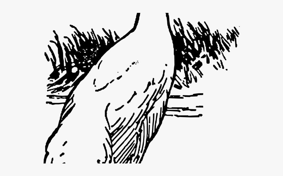 Sandhill Crane Line Art, Transparent Clipart