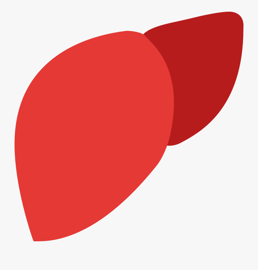 Svg Library Download Liver Clipart Damaged Liver - Transparent Liver Icon, Transparent Clipart