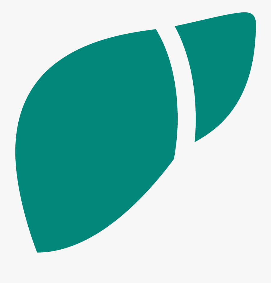 Shape Circle Computer Icons Curve Liver - Circle, Transparent Clipart