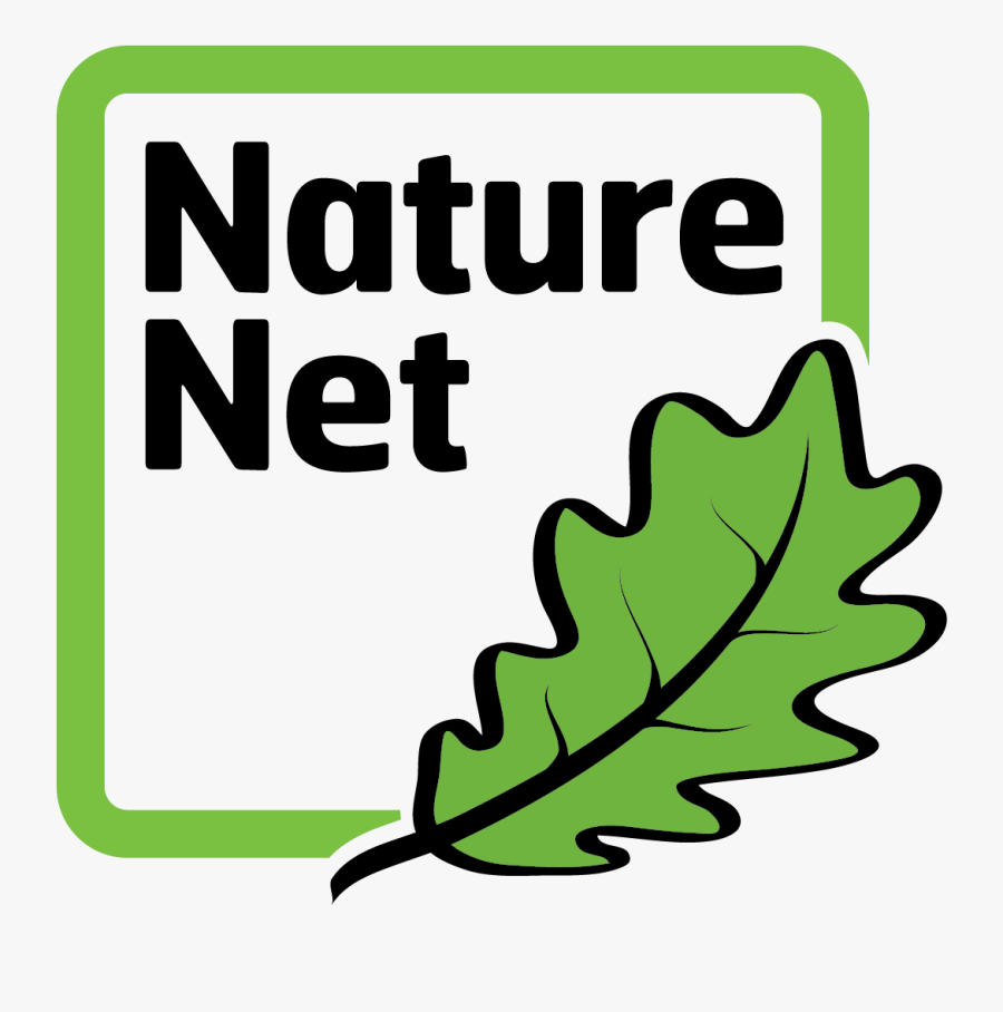 Transparent Rocks Clipart - Accenture In The Philippines, Transparent Clipart