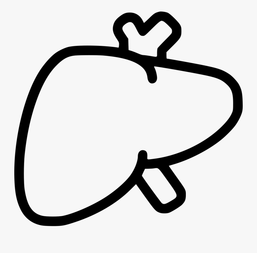 Liver , Free Transparent Clipart ClipartKey