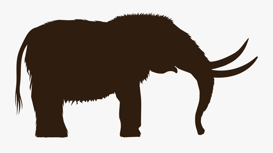 Carnivoran,horn,indian Elephant - Woolly Mammoth Clip Art, Transparent Clipart
