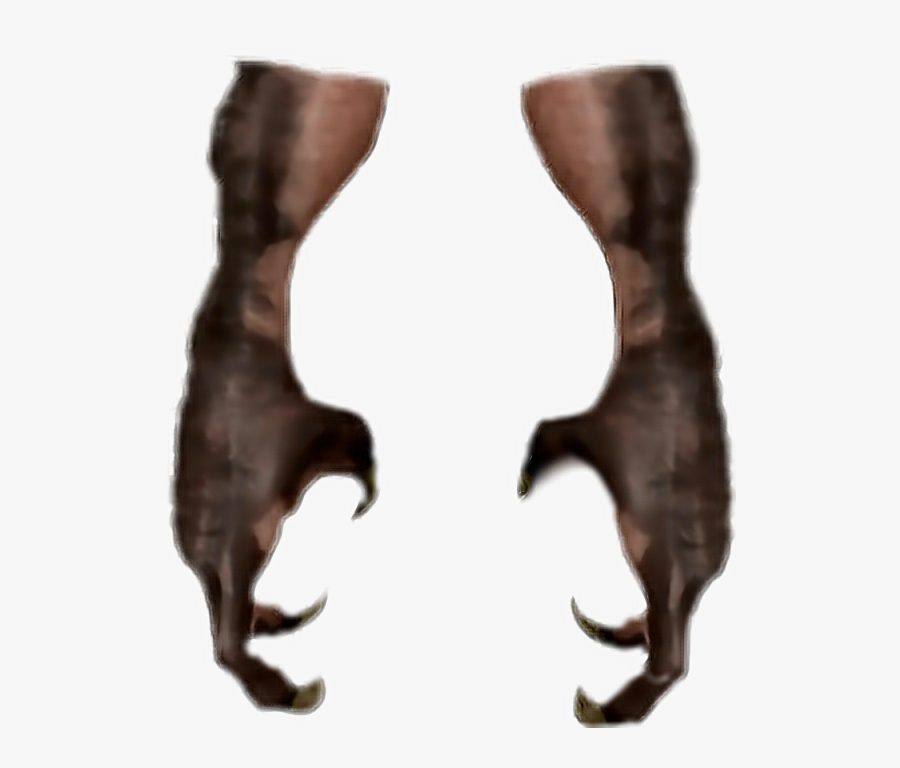 Cat, Transparent Clipart