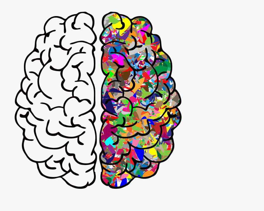 Brain Clipart Vs Right - Left And Right Brain Png, Transparent Clipart