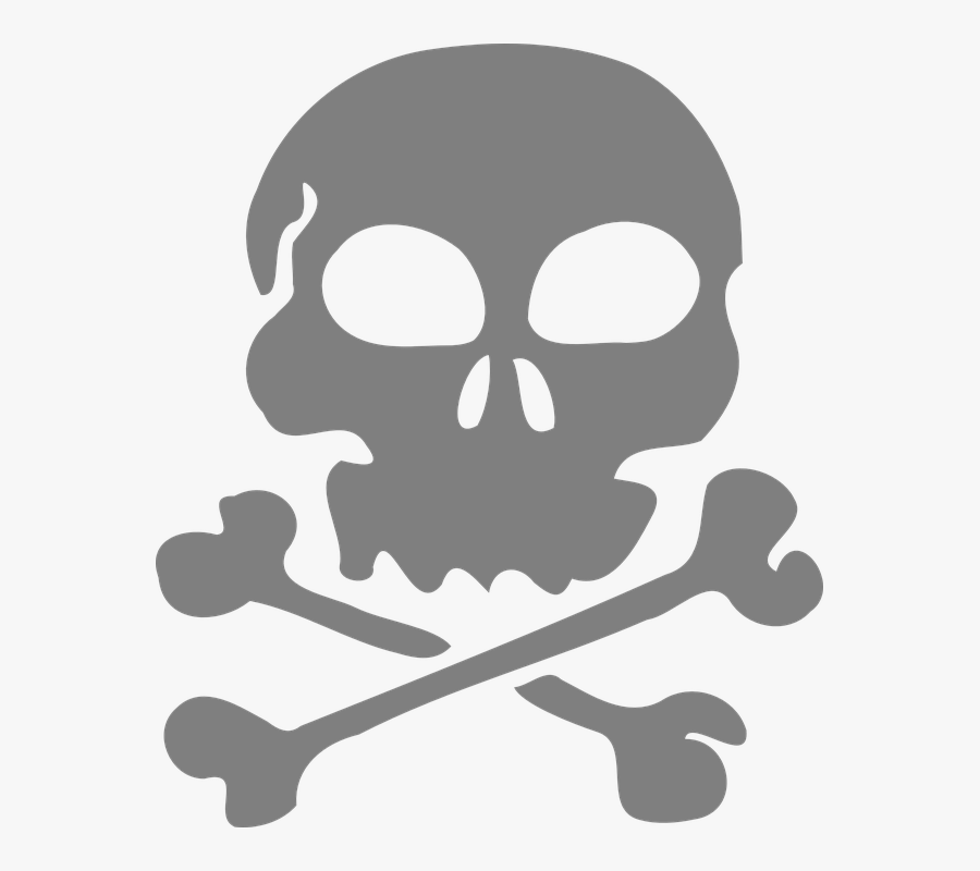 Skull, Bones, Pirate, Flag, Danger, Silhouette - Transparent Skull Clipart, Transparent Clipart
