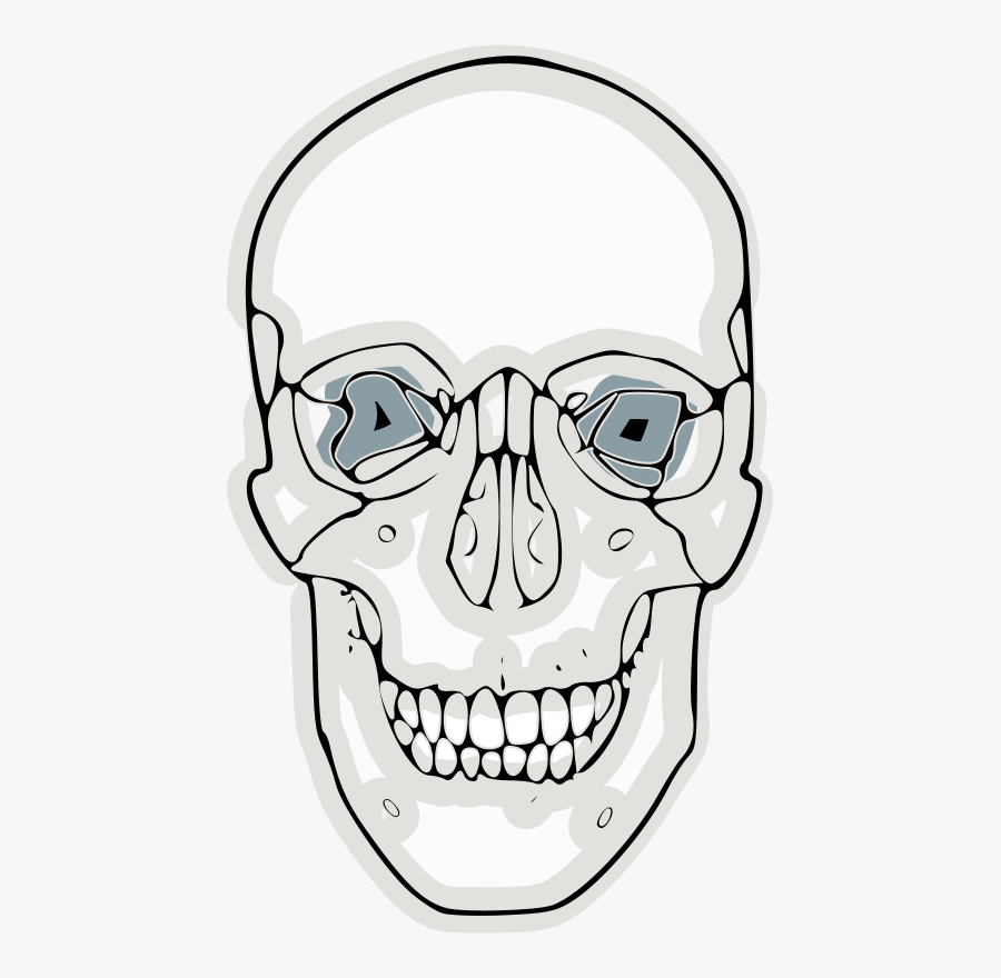 Line Art,head,skull - Blank Anterior Diagram Of Skull, Transparent Clipart