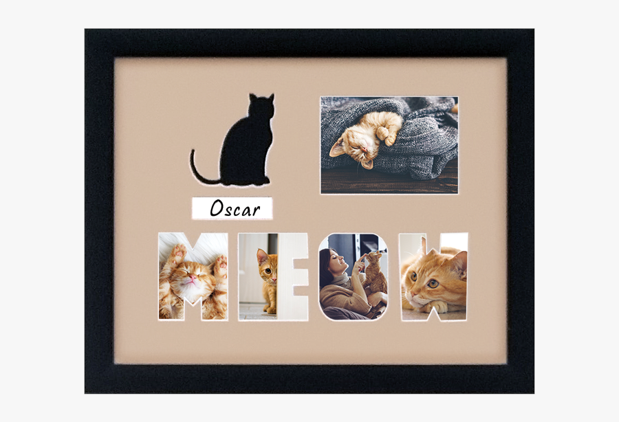 Picture Frame, Transparent Clipart
