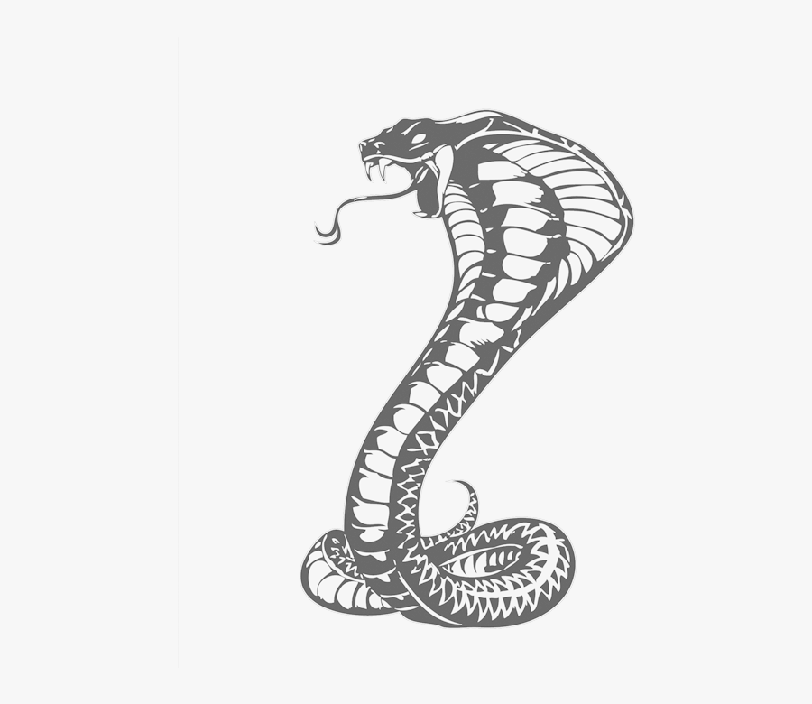 Cobras King Cobra Snakes Tattoo Snake Drawing Clipart - Khon Kaen United F.c., Transparent Clipart