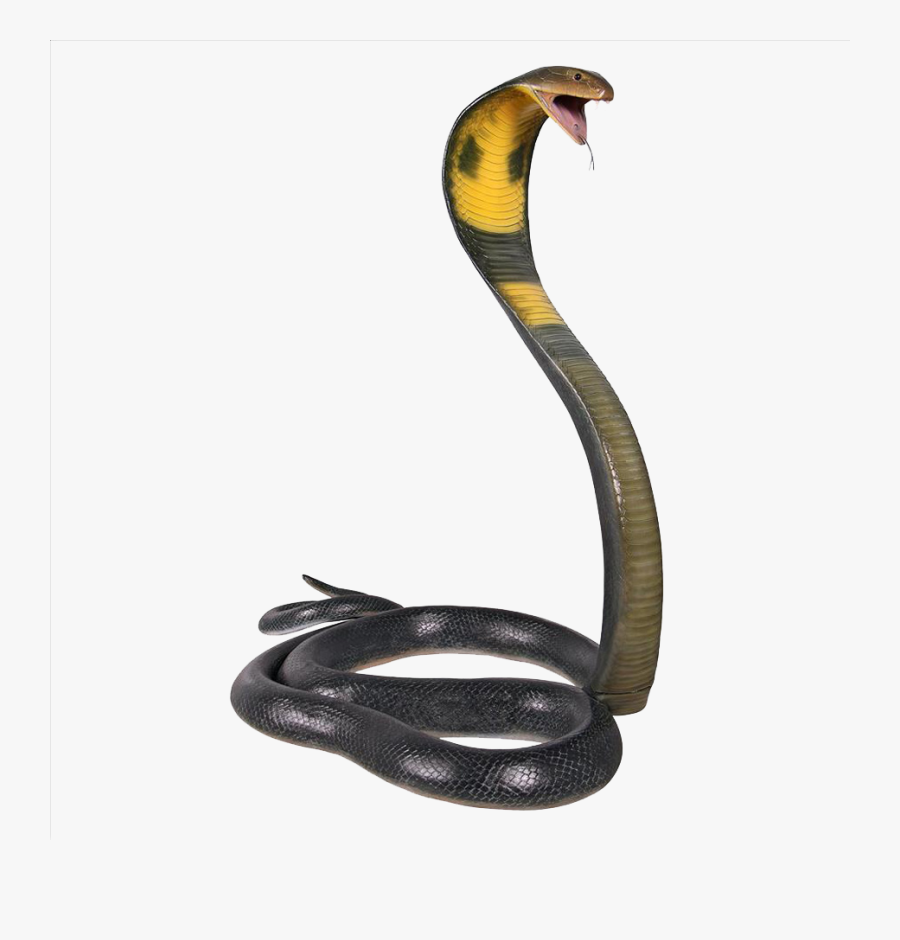 Cobra Snake Png, Transparent Clipart