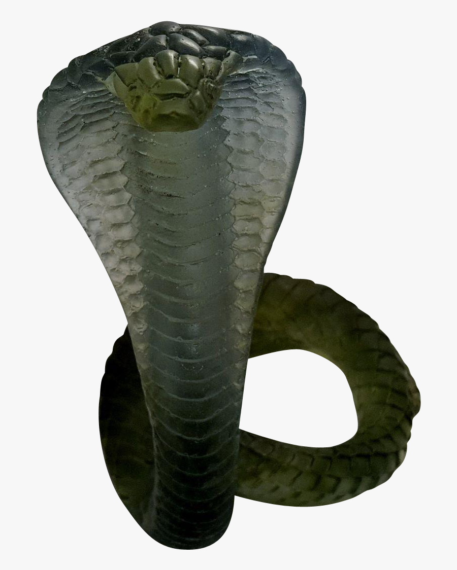 Clip Art Snake Photo - Daum Cobra, Transparent Clipart