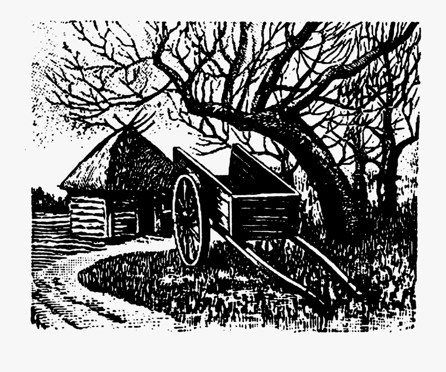 Tree, Transparent Clipart