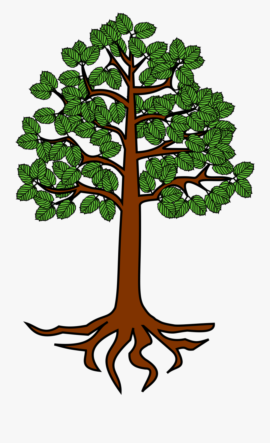 Roots Clipart Cartoon Tree - Tree With Roots Cartoon, Transparent Clipart