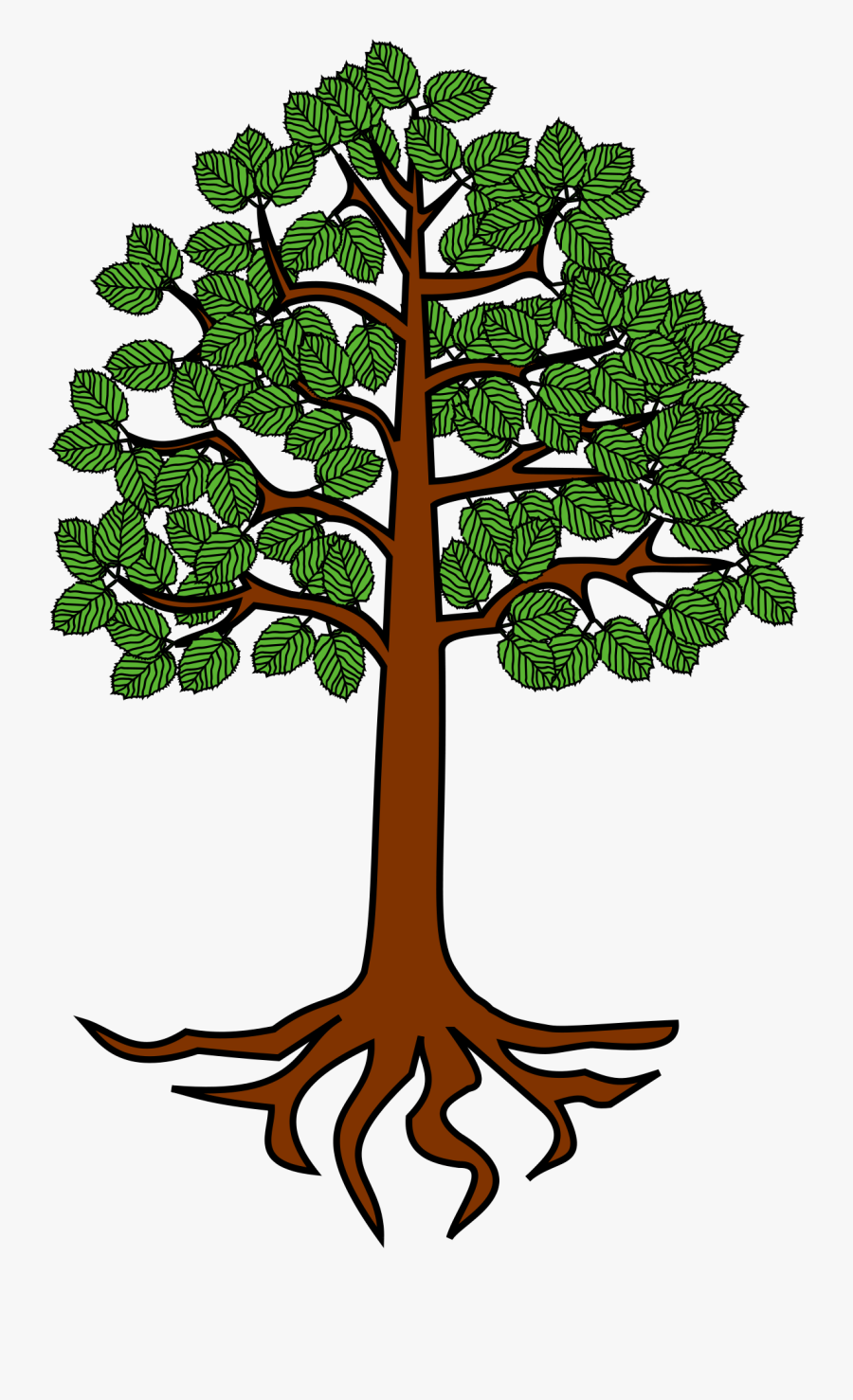 Tree With Roots