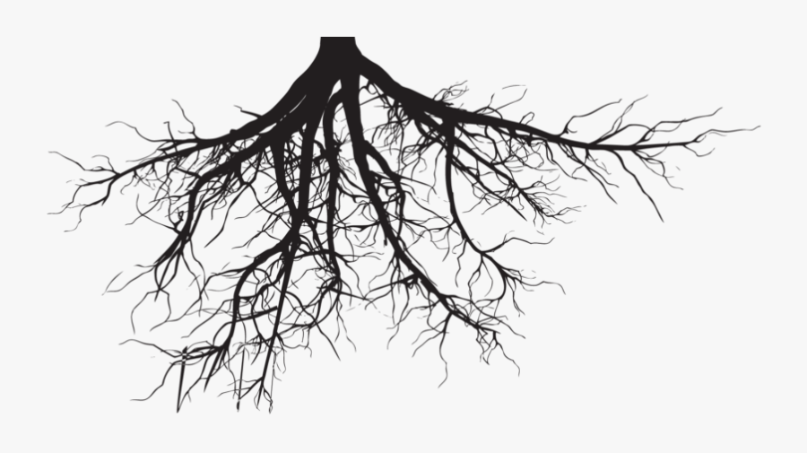 Tree With Roots Png - Tree Roots Silhouette Png, Transparent Clipart