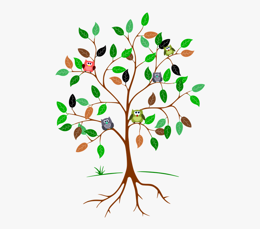 Tree With Roots And Leaves, Transparent Clipart