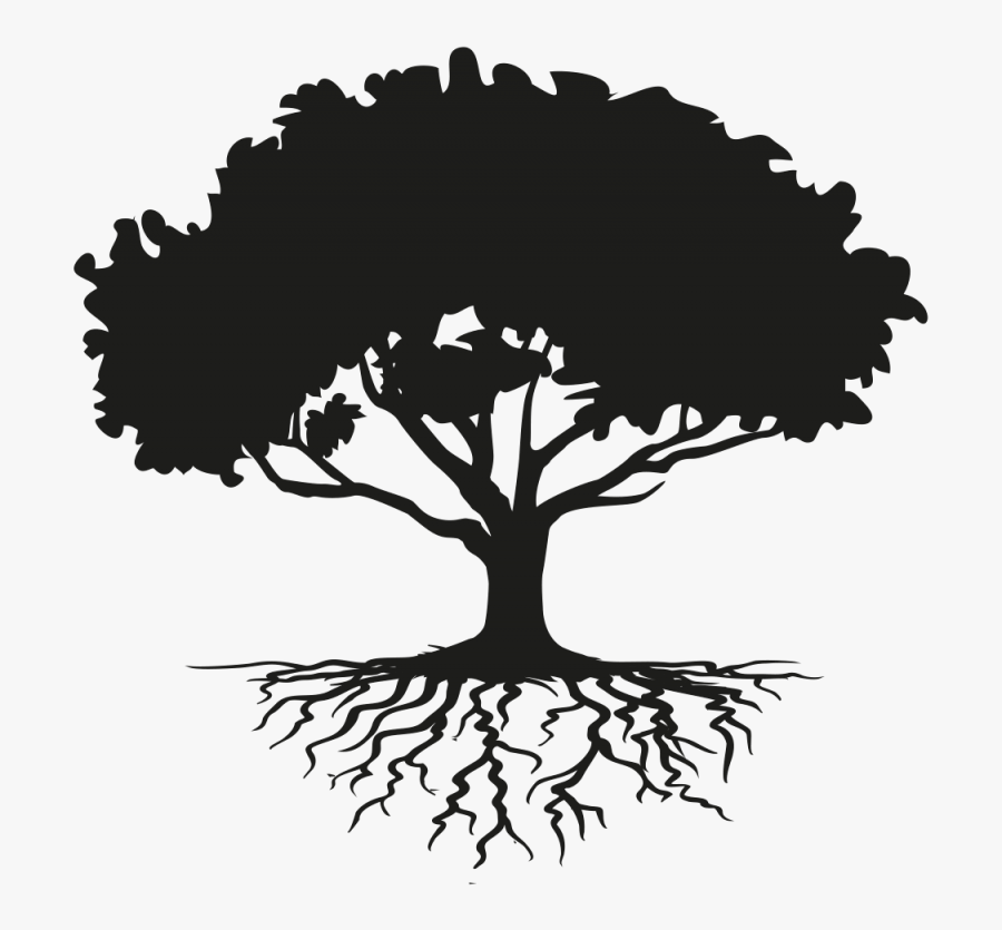 Tree Drawing Root Clip Art - Tree With Roots Silhouette, Transparent Clipart