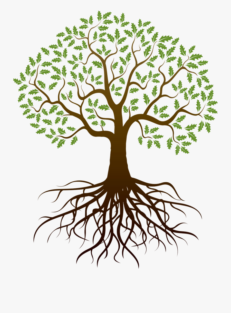 Transparent Tree Of Life With Roots Clipart - Family Tree With Roots, Transparent Clipart