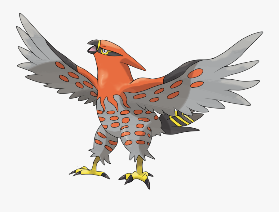 Talonflame Discussion Thread - Fire Flying Pokemon Names, Transparent Clipart
