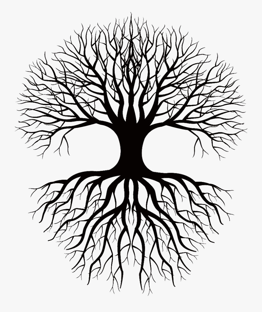Roots Clipart Tree With Deep Root, Hd Png Download - Tree And Roots Silhouette Png, Transparent Clipart