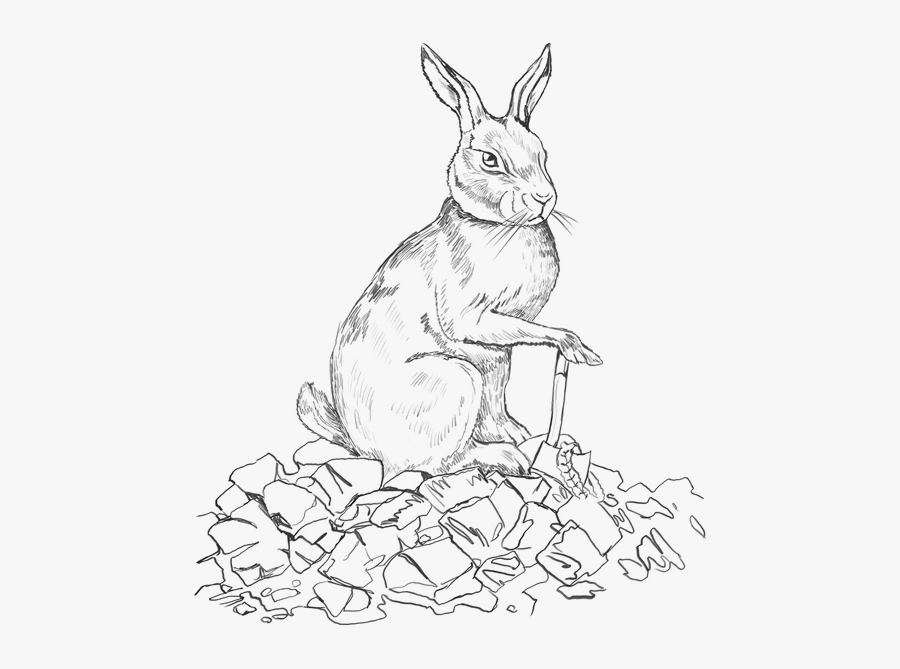 Black Rabbit - Sketch, Transparent Clipart