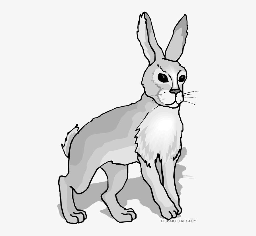 Clipartblack Com Animal Free - Hair And Hare, Transparent Clipart