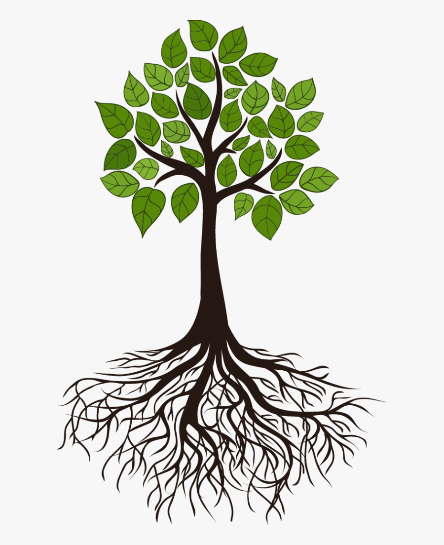 Tree Root Branch Clip Art - Tree With Roots, Transparent Clipart
