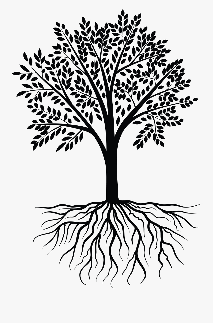 Tree Root Vector Png, Transparent Clipart