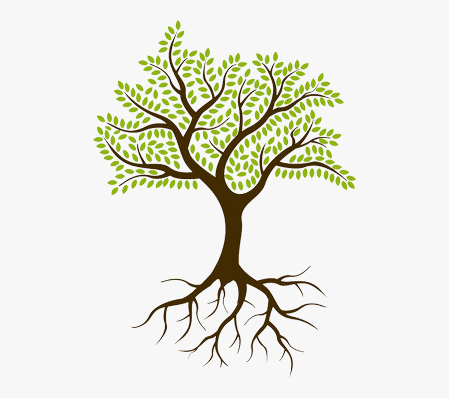 Culture Spark Was Started In 2015 By Sheryl Lyons, - Tree With Roots Png, Transparent Clipart