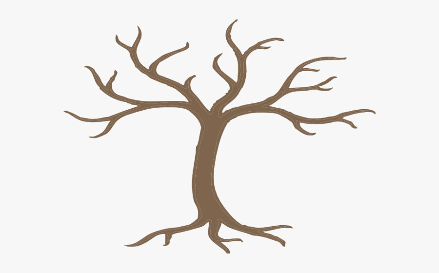 Roots Clipart Tree Trunk - Tree With 12 Branches, Transparent Clipart