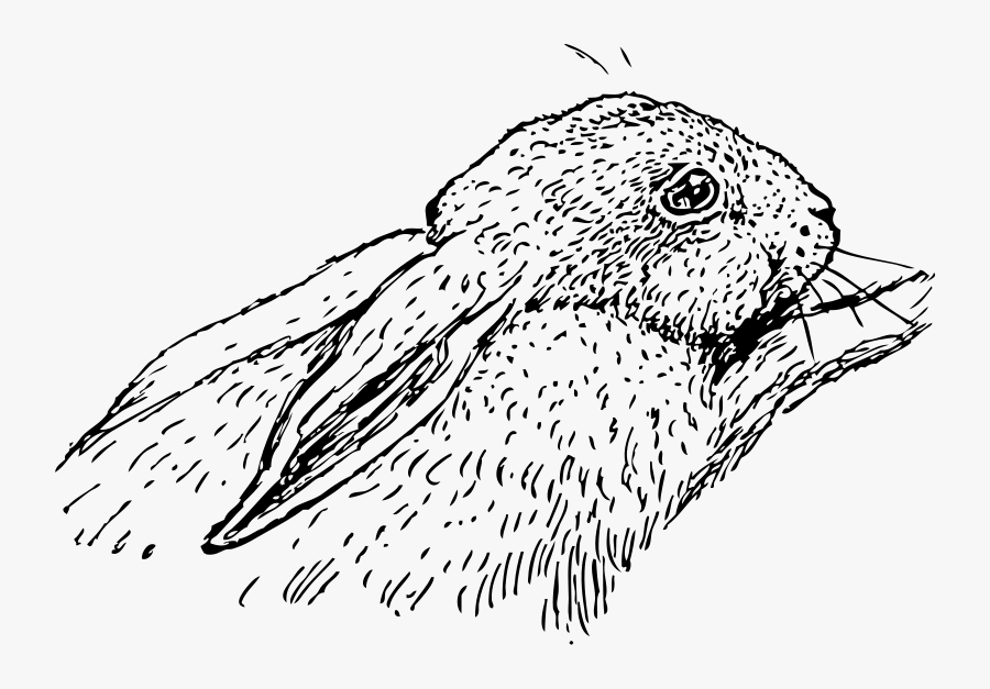 Rabbit Clip Art, Transparent Clipart