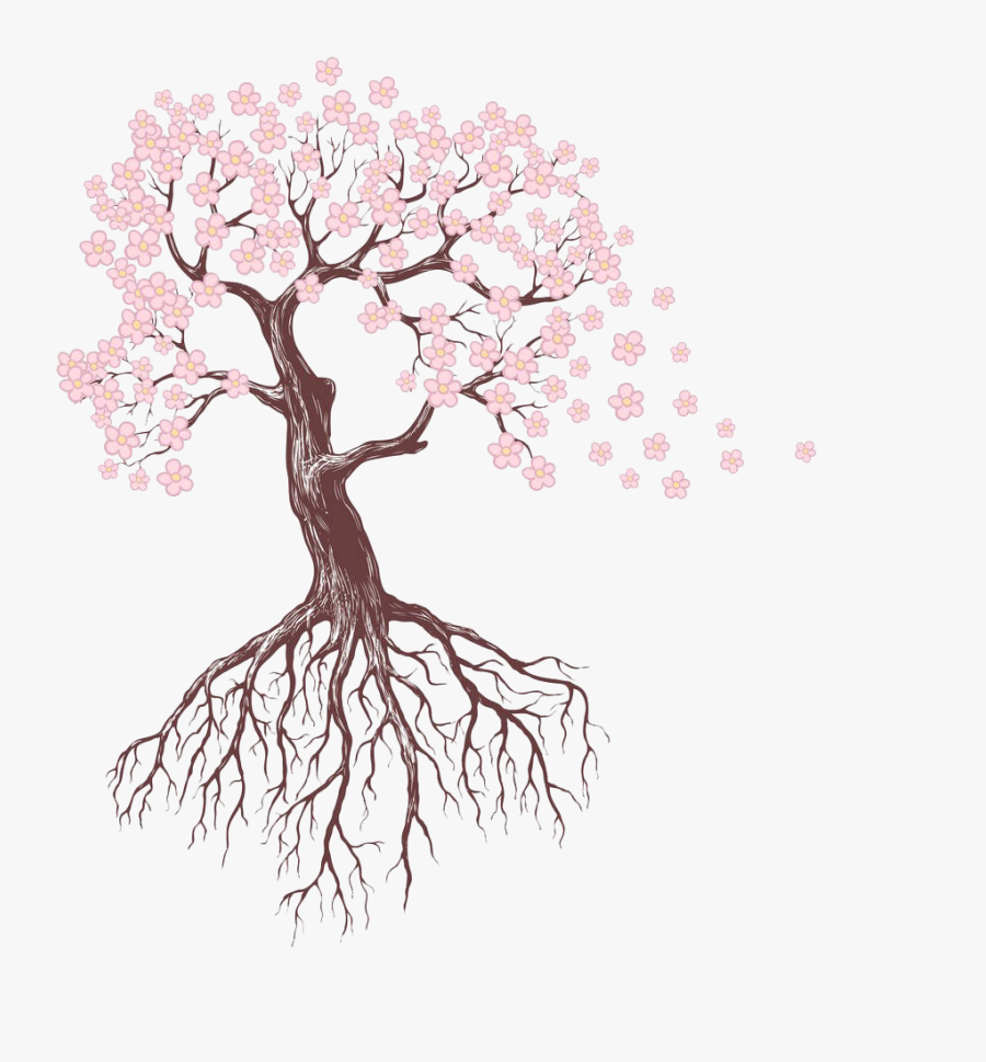 Clip Art Root Sketch Pink Cherry - Draw A Flower Tree, Transparent Clipart