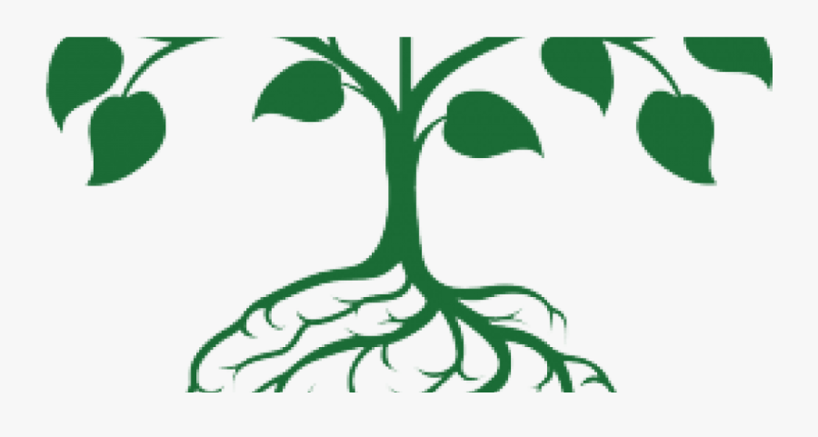 Stanford Neurosciences Institute, Big Ideas In Neuroscience - Plants Growing To Brains, Transparent Clipart